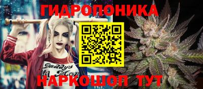 СК Мариинск