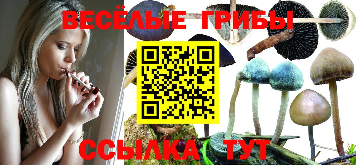 Галлюциногенные грибы прущие грибы Дербент